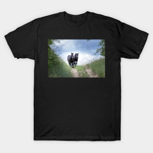 Horses in the wild on the way home T-Shirt